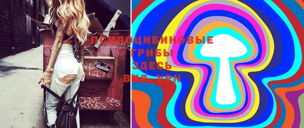 соль ск Осинники