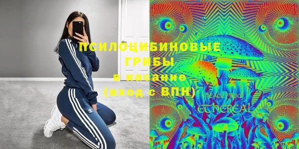 ПСИЛОЦИБИНОВЫЕ ГРИБЫ Остров